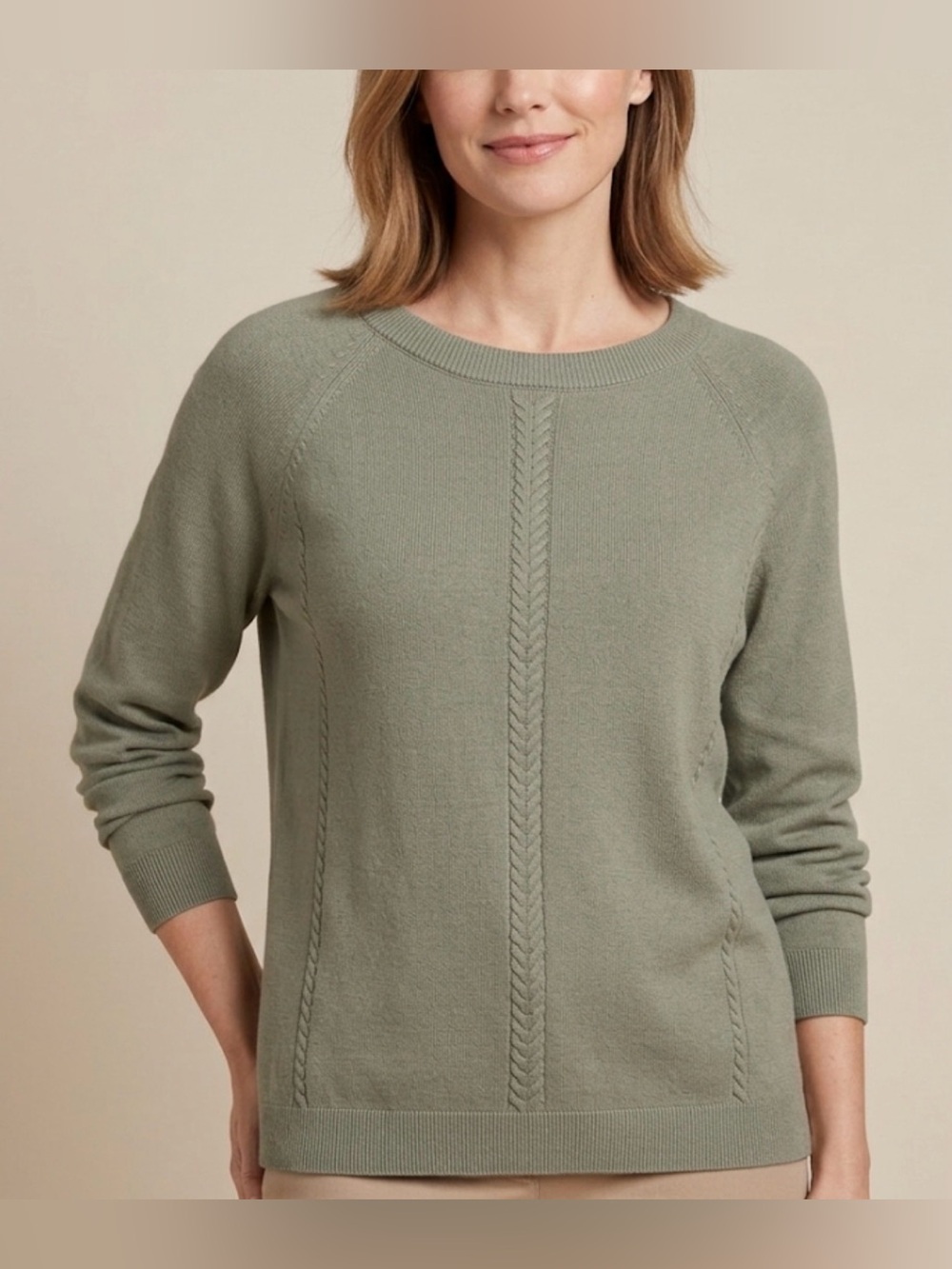 NWT Talbots Cotton Blend Sweater, Size LP